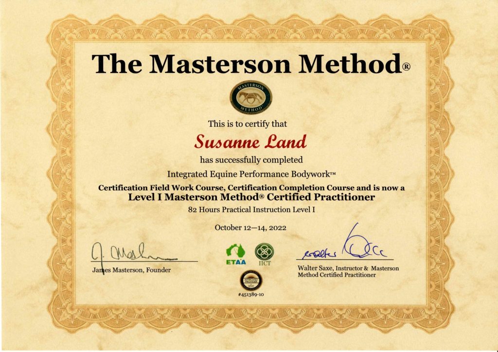 Zertifikat Masterson Methode